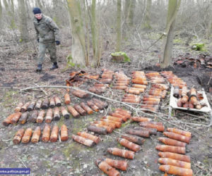 Ponad 40 skrzyń sprzed kilkudziesięciu znalezionych w lesie na Dolnym Śląsku