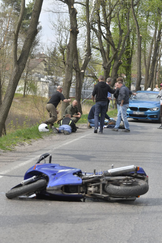 Łoś uderzył w motor przed rondem w Zielonce 