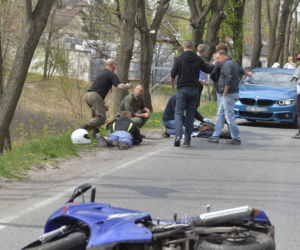 Łoś uderzył w motor przed rondem w Zielonce 