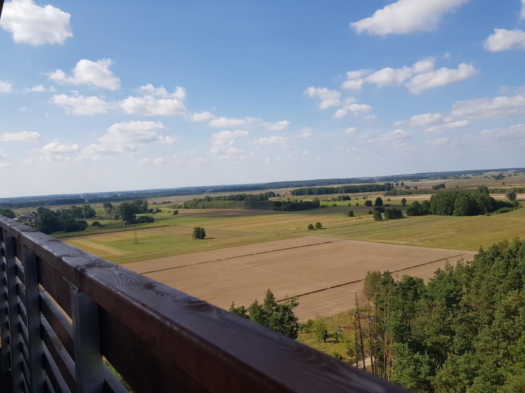 Wieża widokowa w Uhowie. To najwyższa wieża na Podlasiu [ZDJĘCIA]