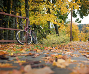 Zginął 17-letni rowerzysta. Dramatyczny wypadek w Gorzowie