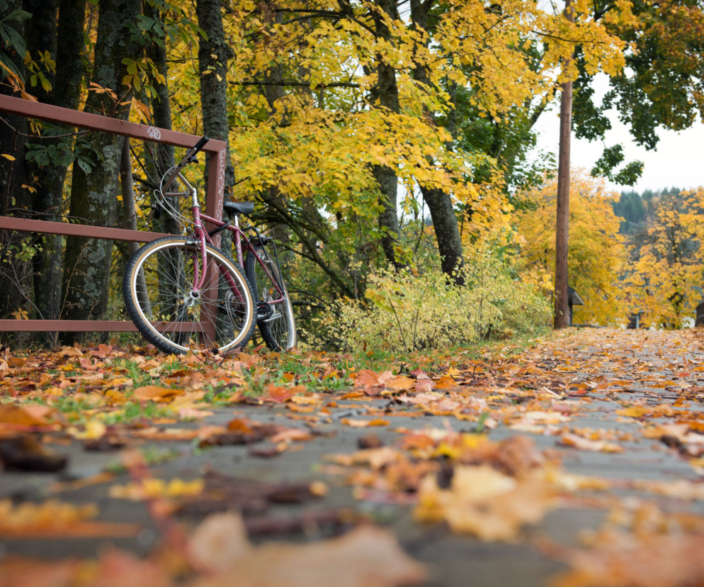 Zginął 17-letni rowerzysta. Dramatyczny wypadek w Gorzowie