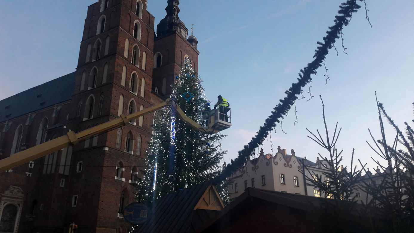 Na krakowskim Rynku pojawiła się już choinka! [GALERIA ZDJĘĆ]