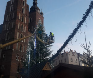 Na krakowskim Rynku pojawiła się już choinka! [GALERIA ZDJĘĆ]