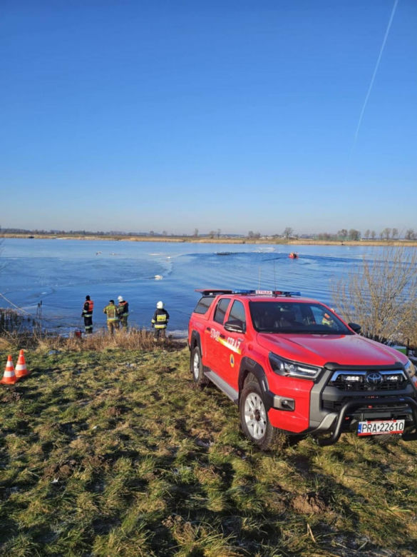 Makabryczny widok nad jeziorem! 50 martwych łabędzi. Wiadomo, co je zabiło