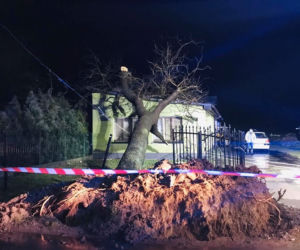 Wichury na Dolnym Śląsku