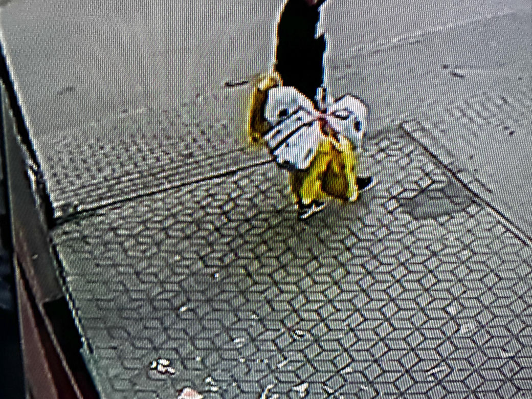  Loki ruszył tropem i doprowadził policję prosto pod drzwi złodzieja
