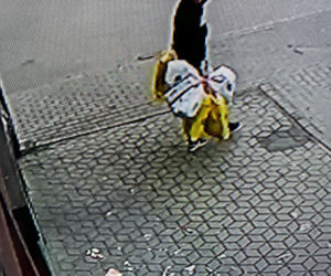  Loki ruszył tropem i doprowadził policję prosto pod drzwi złodzieja