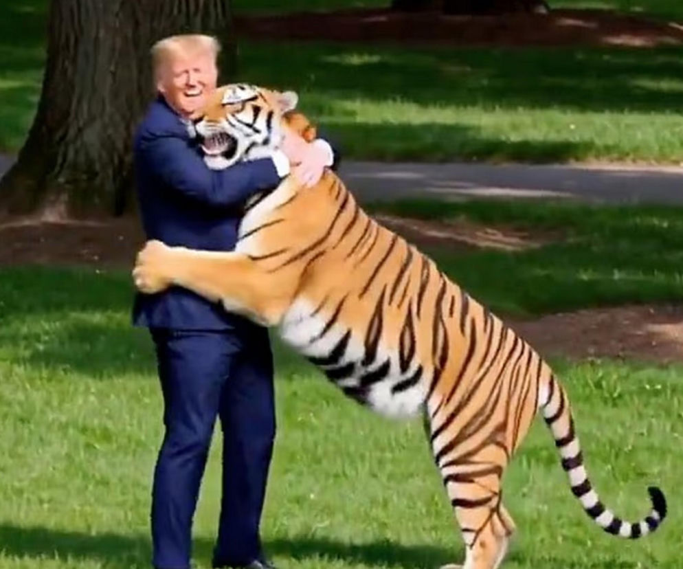 Donald Trump w garniturze przytula tygrysa na trawniku. O kontrowersyjnym nagraniu polityka przeczytasz w Eska.