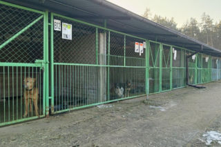 Potrzebowali wsparcia dla czworonogów. Spotkali się z ogromnym odzewem