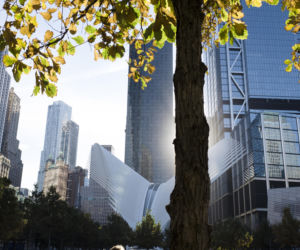 Adaptacja w czasie kryzysu: dlaczego 72% działań nie przynosi efektów i co trzeba zmienić natychmiast?