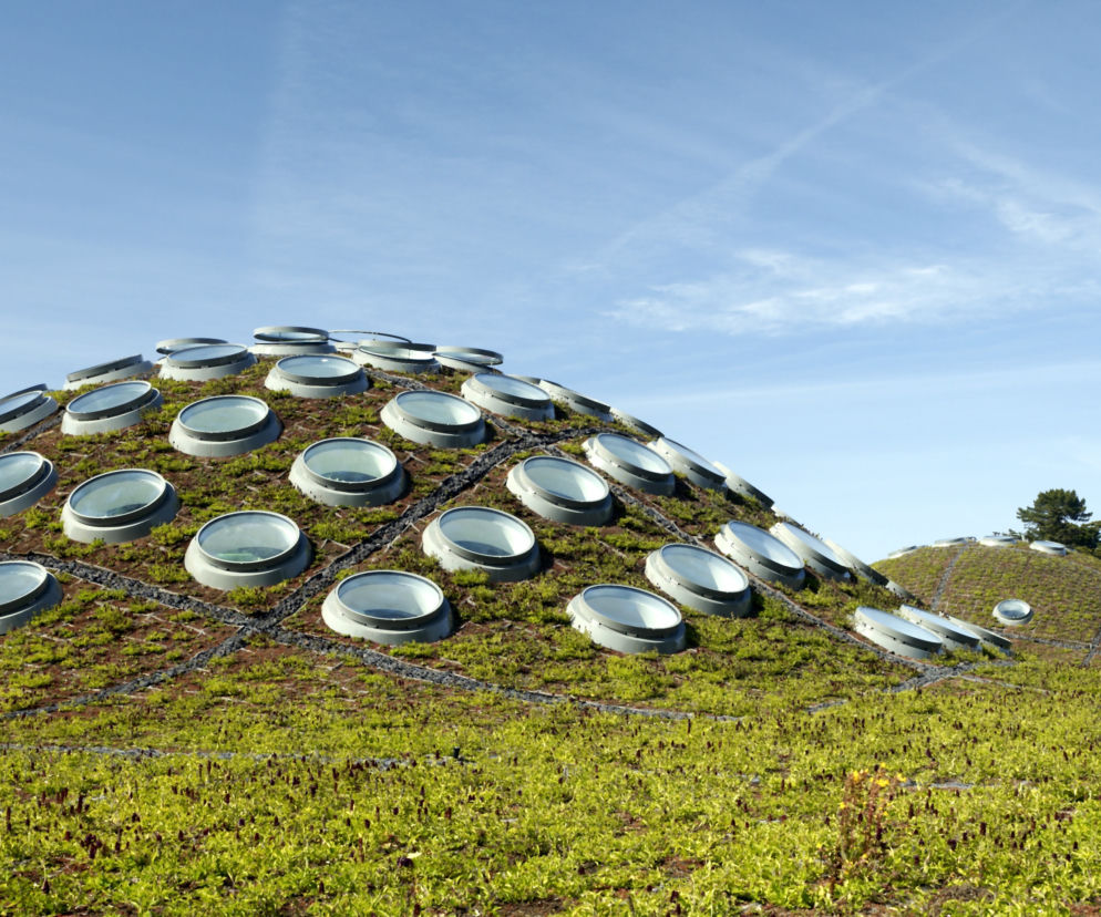 Budynek California Academy of Science: połączenie przyrody z architekturą