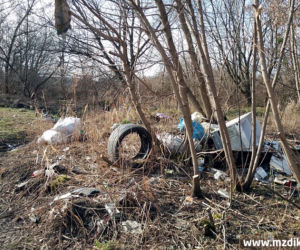 Zalegające śmieci przy ulicy Chorzowskiej w Radomiu