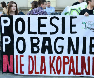 „Nie” dla kopalni na Polesiu. Pikieta w centrum Lublina