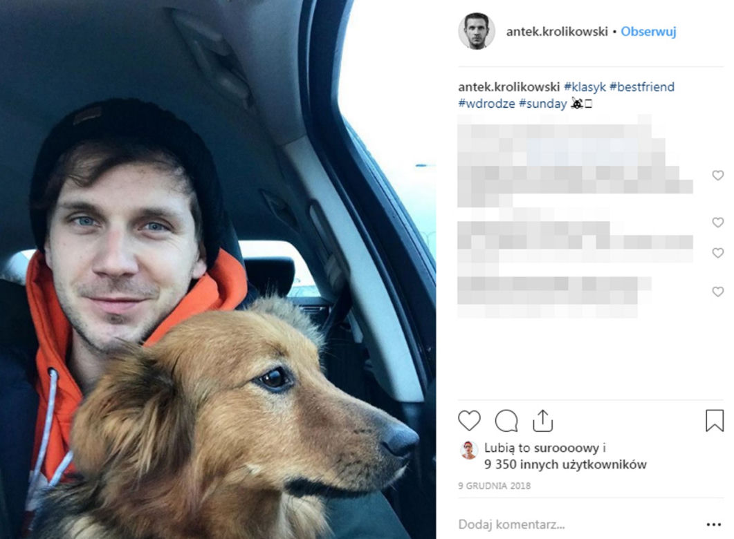 Julia zostaw tego pieska,   Antek Królikowski