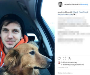 Julia zostaw tego pieska,   Antek Królikowski