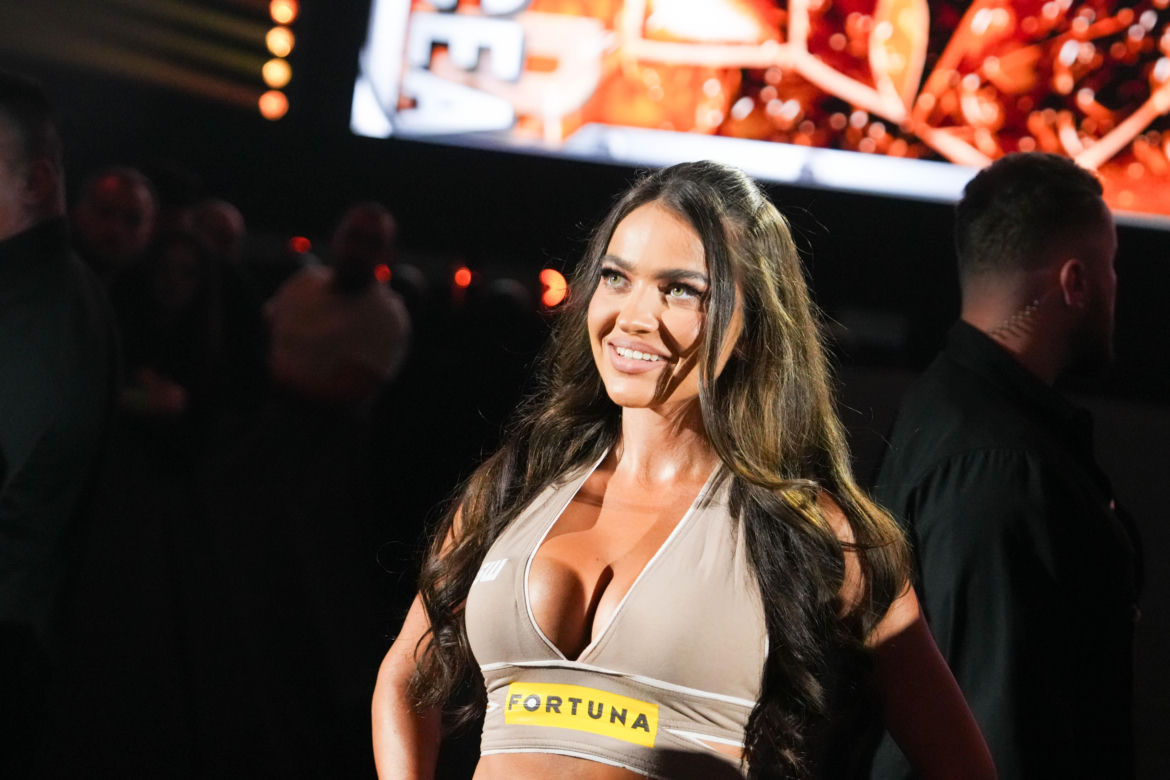 KSW 112. Ring girls