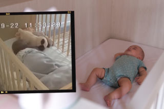 Jak wyglądają drgawki gorączkowe? Zobacz WIDEO, by ich nie zlekceważyć
