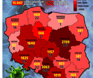 Koronawirus w Polsce. Najnowsze dane 7.05.2020 godz. 17:30