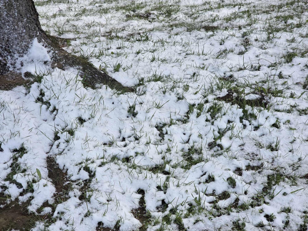 Wiosna walczy z zimą