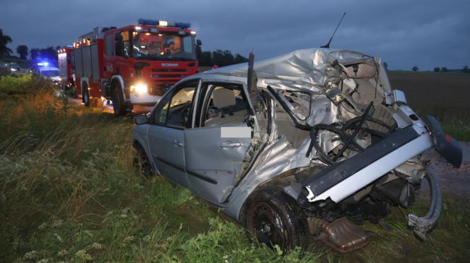 Pijany z dożywotnim zakazem wjechał pod pociąg! Zostawił ranną pasażerkę i uciekł
