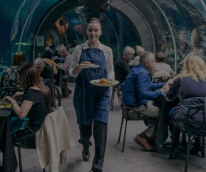 Kolacja z rekinami? Orientarium ZOO Łódź ma ofertę na Walentynki, która zachwyca!