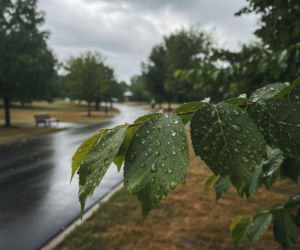 Pogoda w Rzeszowie na weekend. Po słonecznym starcie w niedzielę możliwe opady deszczu