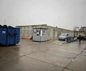 Choinka po świętach nie musi trafić na śmietnik. Lublin daje drzewkom drugie życie