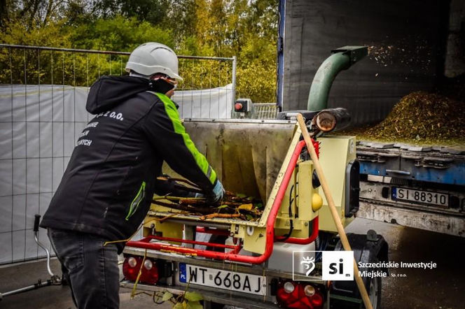 Usuwanie rdestowca na budowie Trasy Północnej