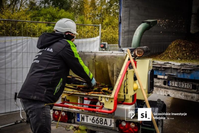 Usuwanie rdestowca na budowie Trasy Północnej