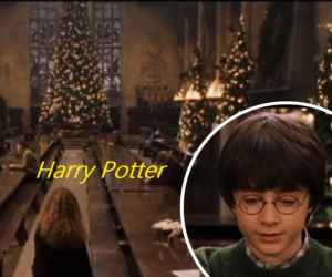 To idealna propozycja dla tych, którzy szukają czegoś innego