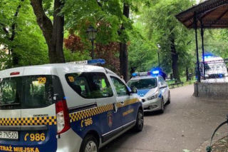 Kraków: Dramatyczna walka o życie na Plantach