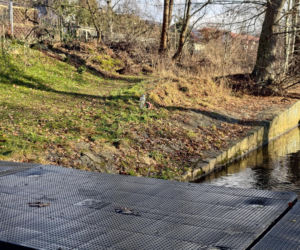 Ciało 11-letniej dziewczynki odnalezione niedaleko szkoły. Tragedia w Jeleniej Górze