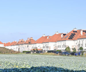 Małgorzata Rozenek-Majdan. Nowe auto, nowa twarz, nowy dom