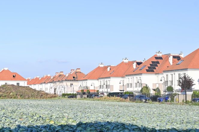 Małgorzata Rozenek-Majdan. Nowe auto, nowa twarz, nowy dom