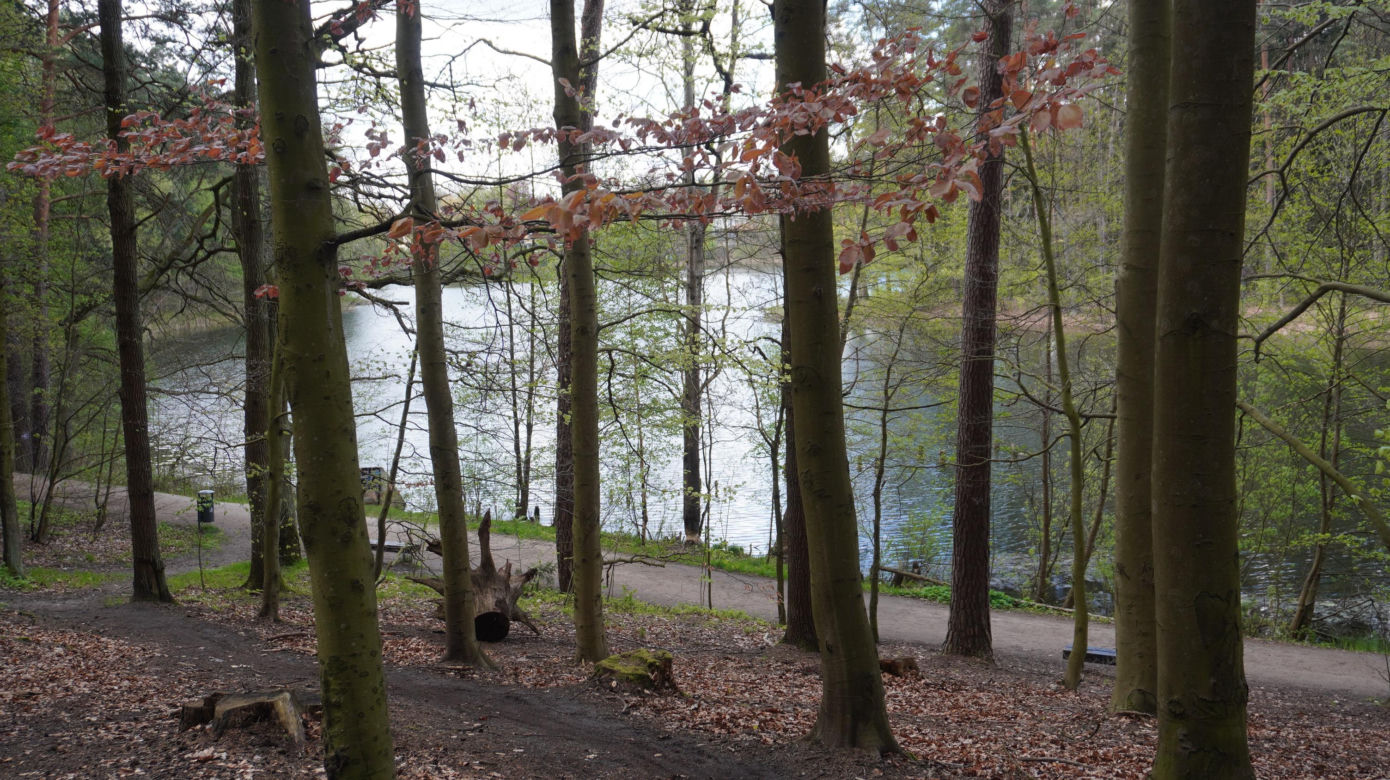 Leży w pobliżu centrum Olsztyna i wygląda bajecznie wiosną. Zobacz piękny rezerwat Mszar [ZDJĘCIA]