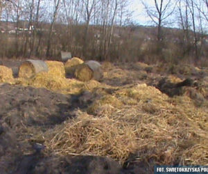 Młodzieńcom spod Pińczowa bardzo się nudziło... Mieli BARDZO GŁUPI pomysł! 35 tys. zł strat!