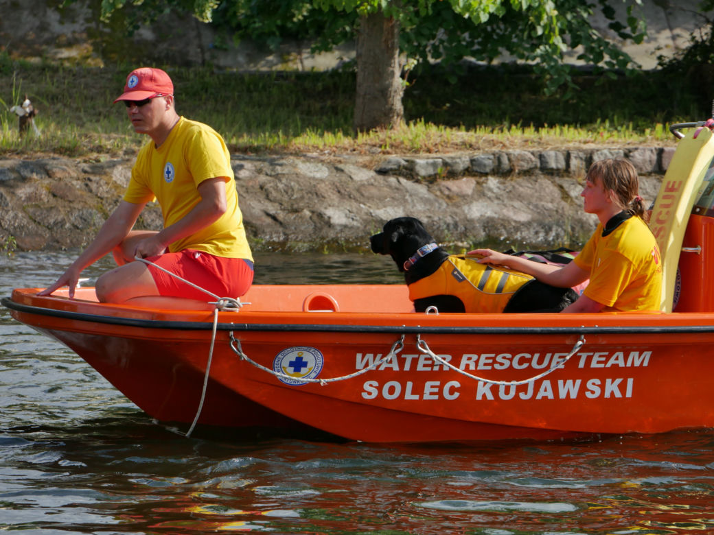 Ster na Bydgoszcz