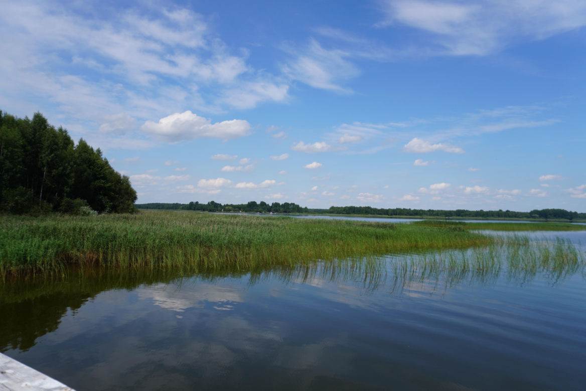 Podlaska Atlantyda, czyli Zalew Siemianówka i okolice