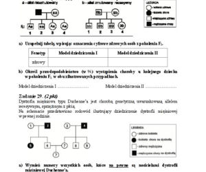 Matura 2013 biologia p. rozszerzony