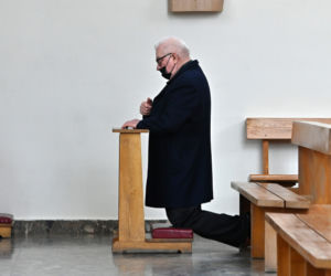 Prezes z palmą, Wałęsa bez