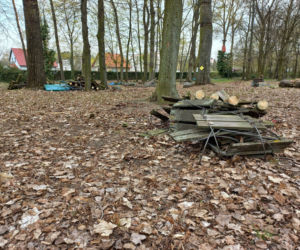 Rozbiórka Parku Linowego Tarzan w Parku Tysiąclecia w Lesznie