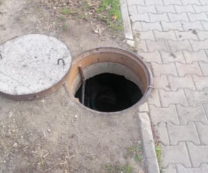 Przez rok żył w studzience ciepłowniczej