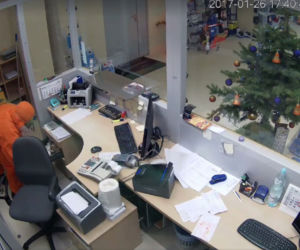 Zamaskowani bandyci napadli na hurtownię. Sceny jak z filmu akcji! [GALERIA, WIDEO]