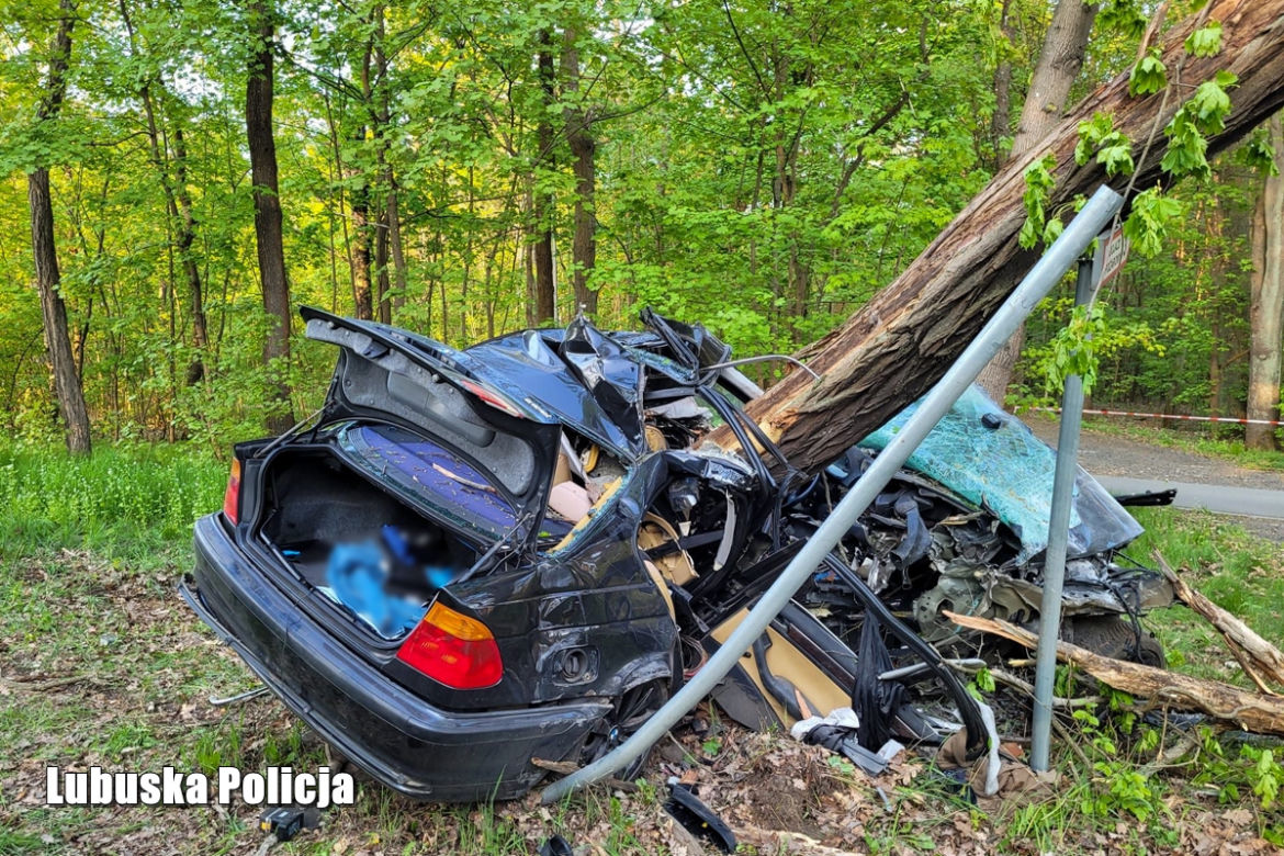 BMW owinęło się wokół drzewa. Koszmarny wypadek w Zielonej Górze