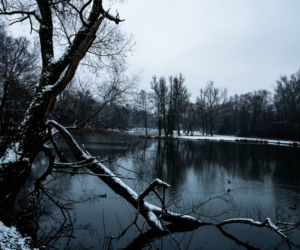 Skawiński park w zimowej otoczce