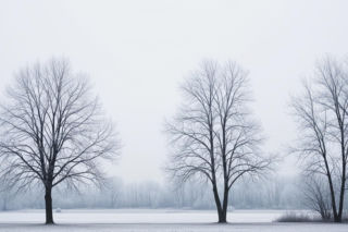 Pogoda na Święta w Łomży. Czy zimowa idylla to już przeszłość?