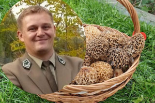 Pierwsze wiosenne grzyby w lasach Świętokrzyskich