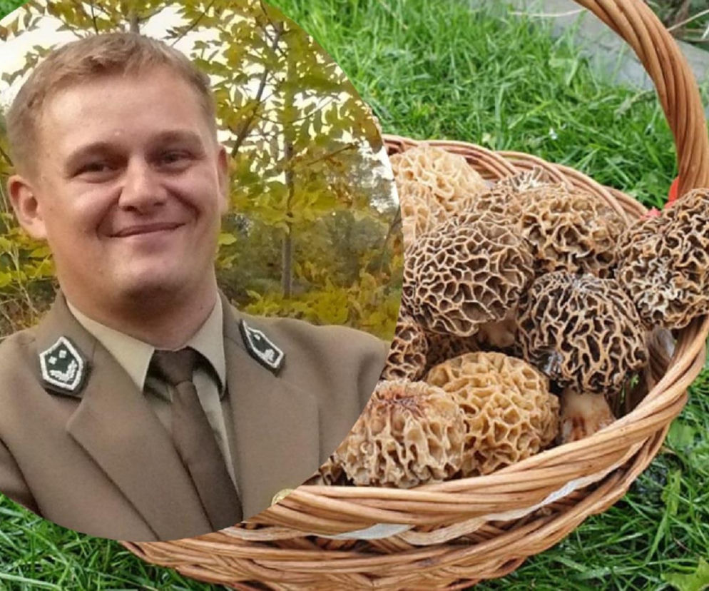 Pierwsze wiosenne grzyby w lasach Świętokrzyskich