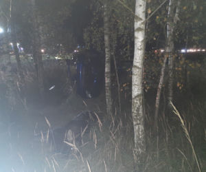 Annówka: Horror na drodze. Śmierć po zderzeniu z łosiem